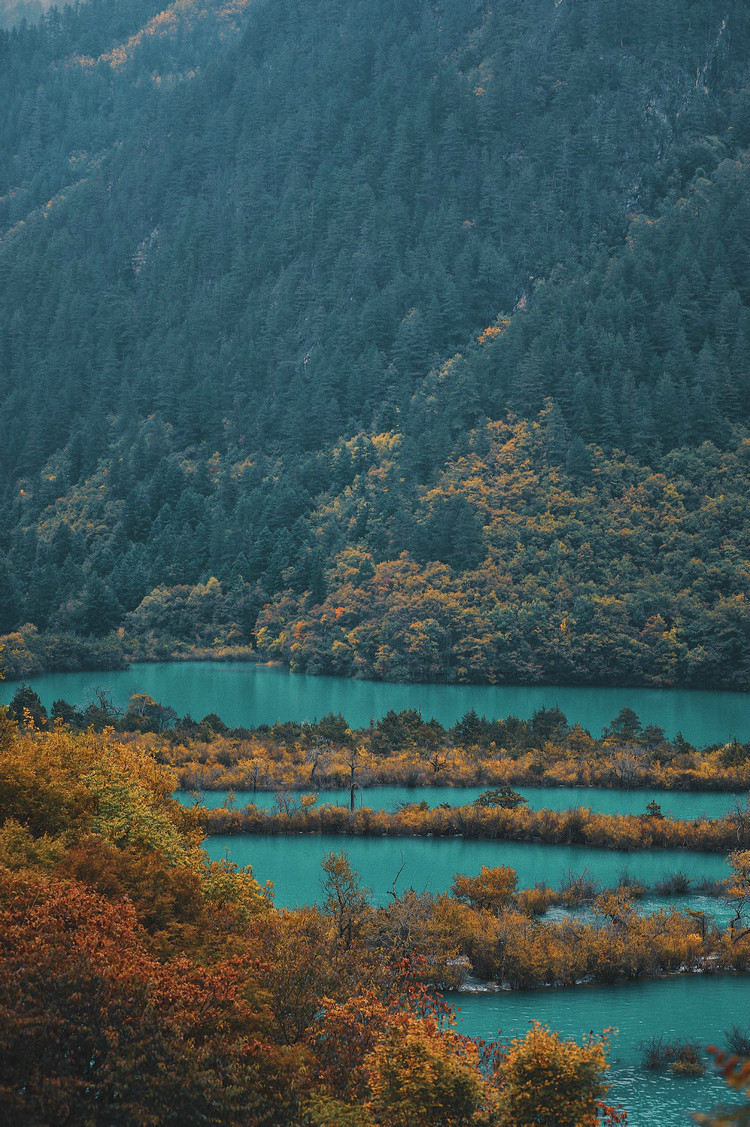 在線溶氧檢測儀對(duì)水產(chǎn)養(yǎng)殖業(yè)發(fā)展有什么影響 在線溶氧檢測儀對(duì)水產(chǎn)養(yǎng)殖業(yè)發(fā)展有什么影響
